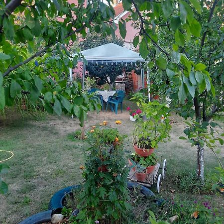 Apartman Drina Berilovac Εξωτερικό φωτογραφία