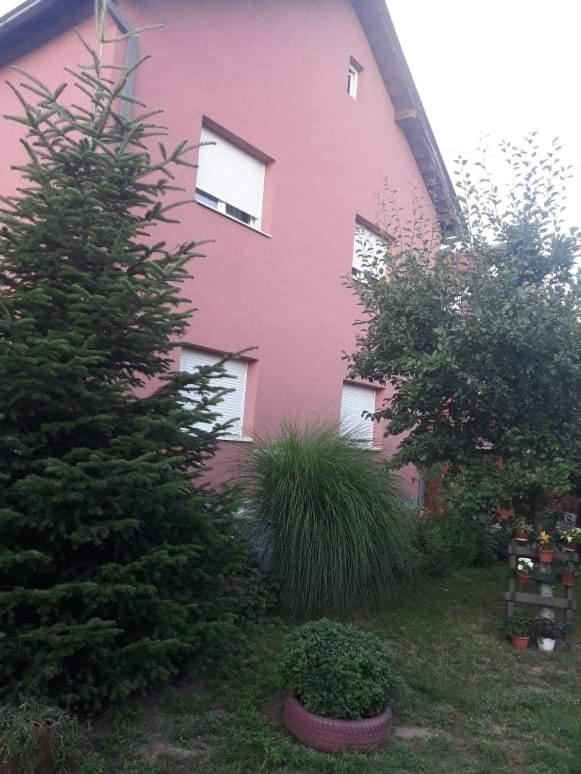 Apartman Drina Berilovac Εξωτερικό φωτογραφία